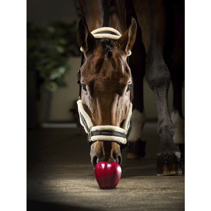 Head Collar with Fur - TOM