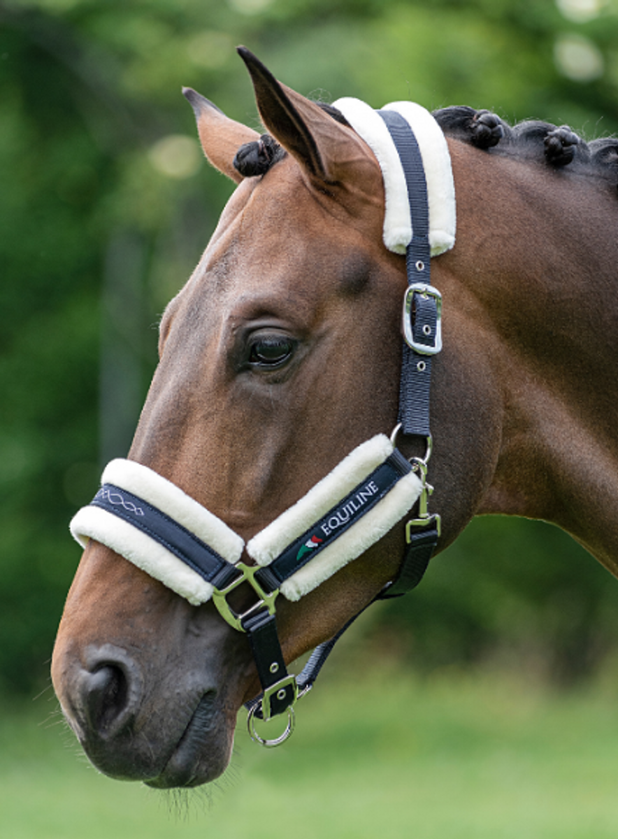 Head Collar with Fur - TOM